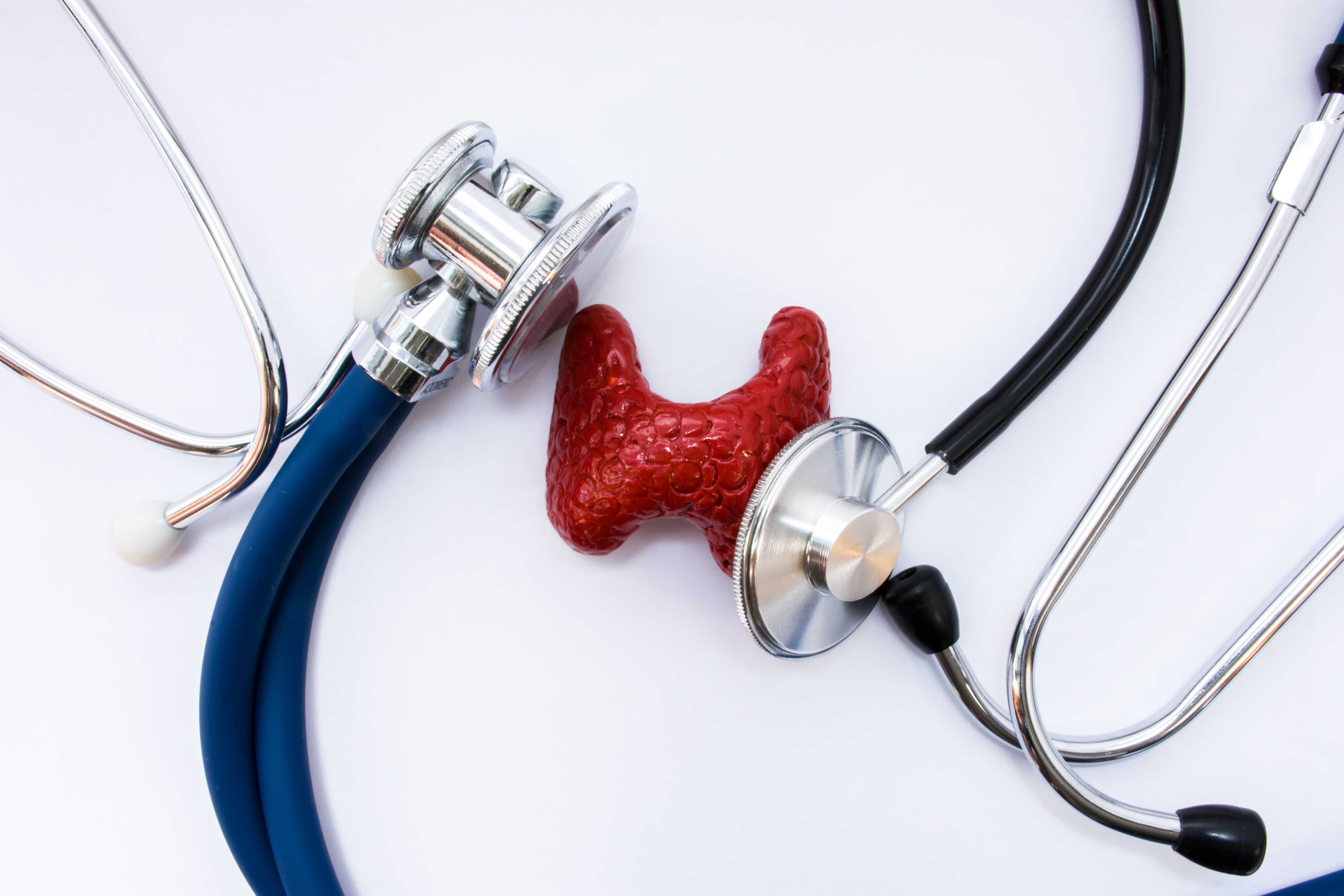 Endocrinology and Metabolism1