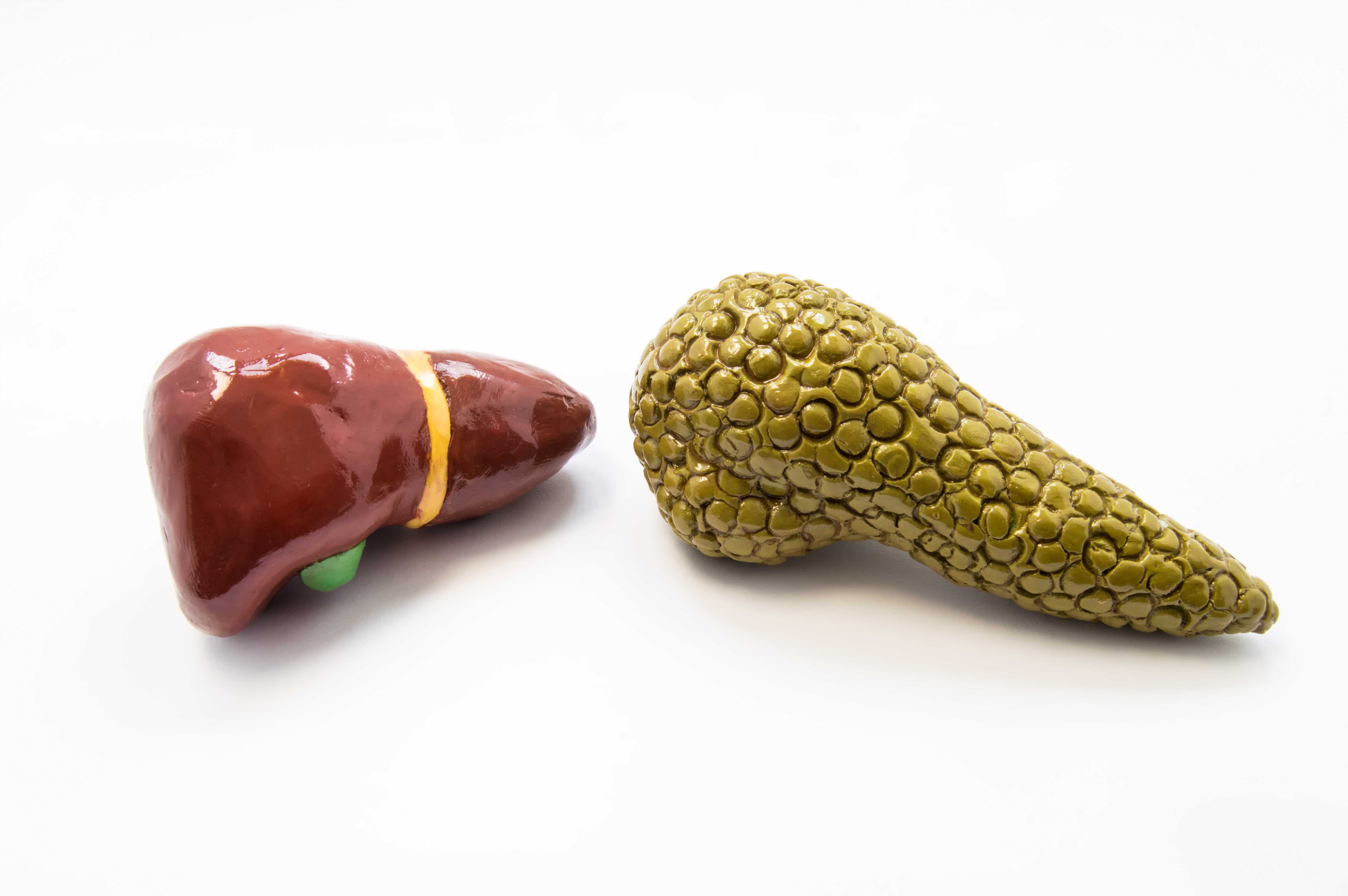 Hepatobiliary-Pancreatic Surgery1