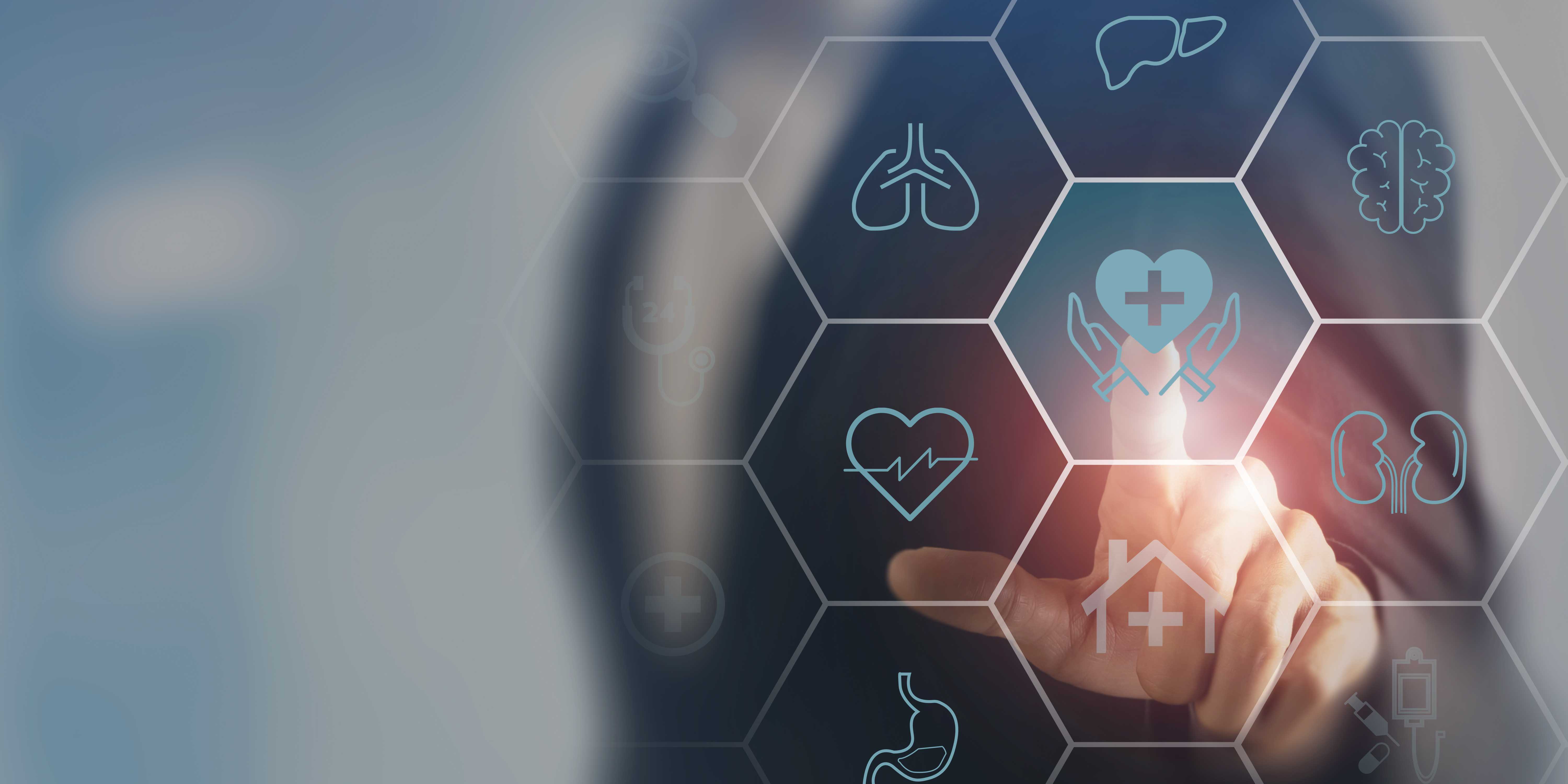 Nephropathology and Renal Transplant Pathology Nephropathology and Renal Transplant Pathology1