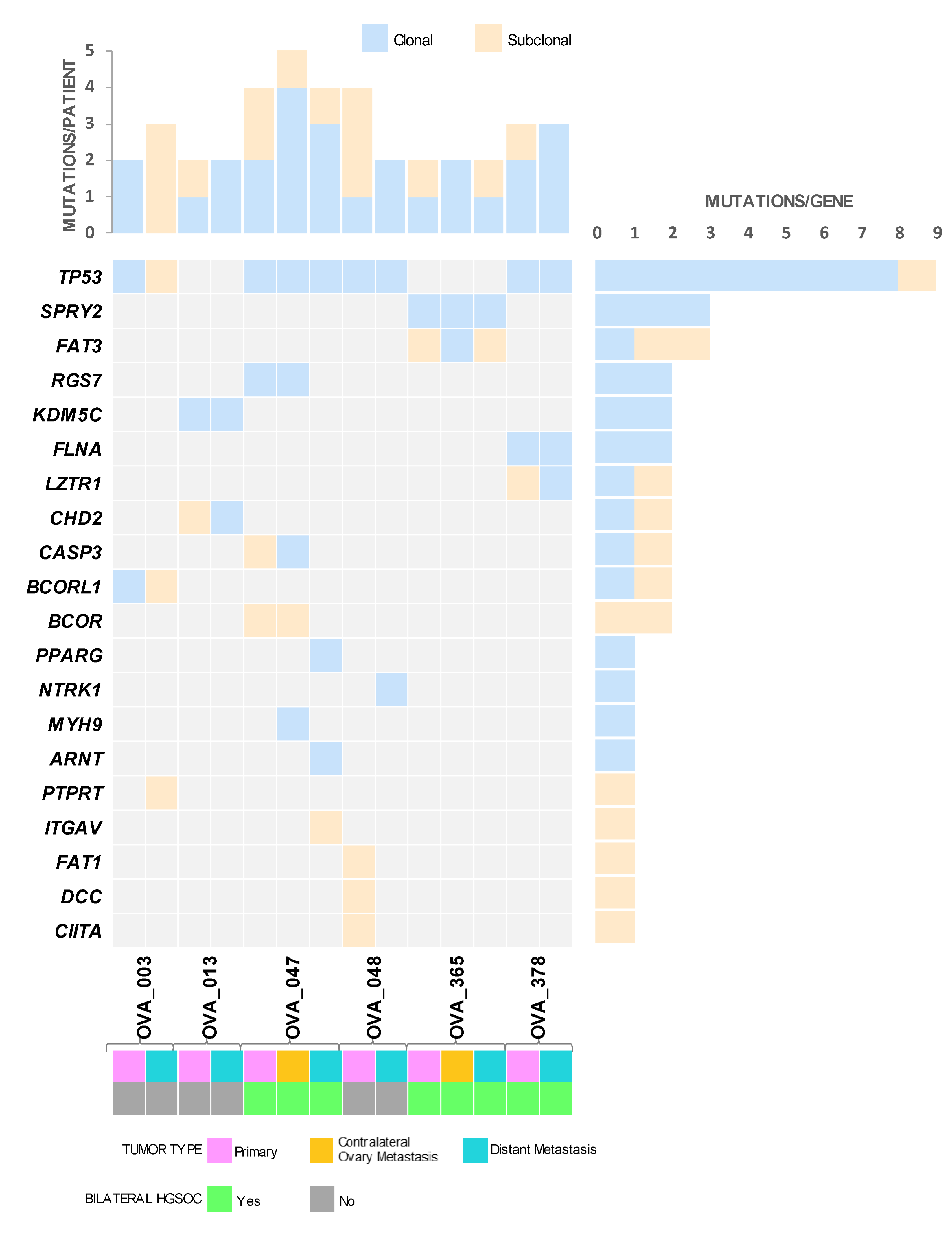 Figure01  Identification of Molecular Signatures and Evolutionary History of Saudi Epithelial Ovaria