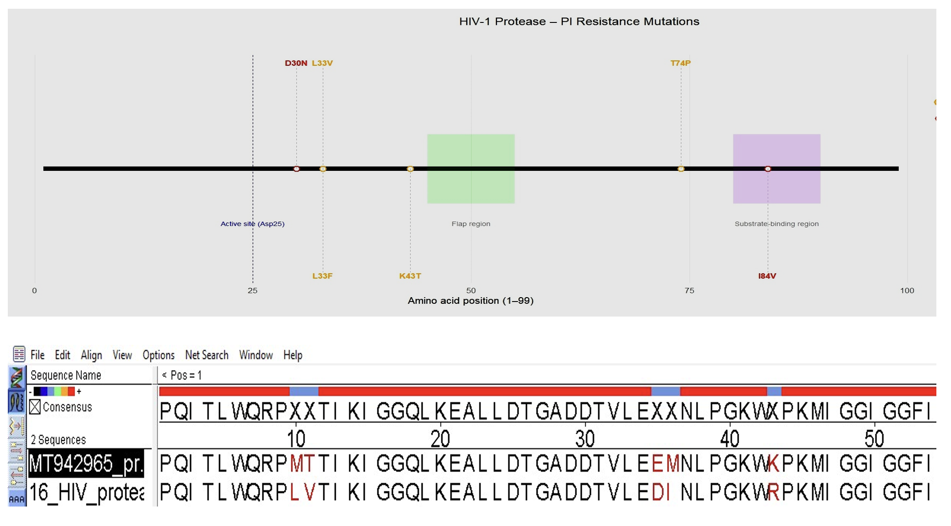 Figure01 Novel methods to detect HIV-1 Drug Resistance Mutations