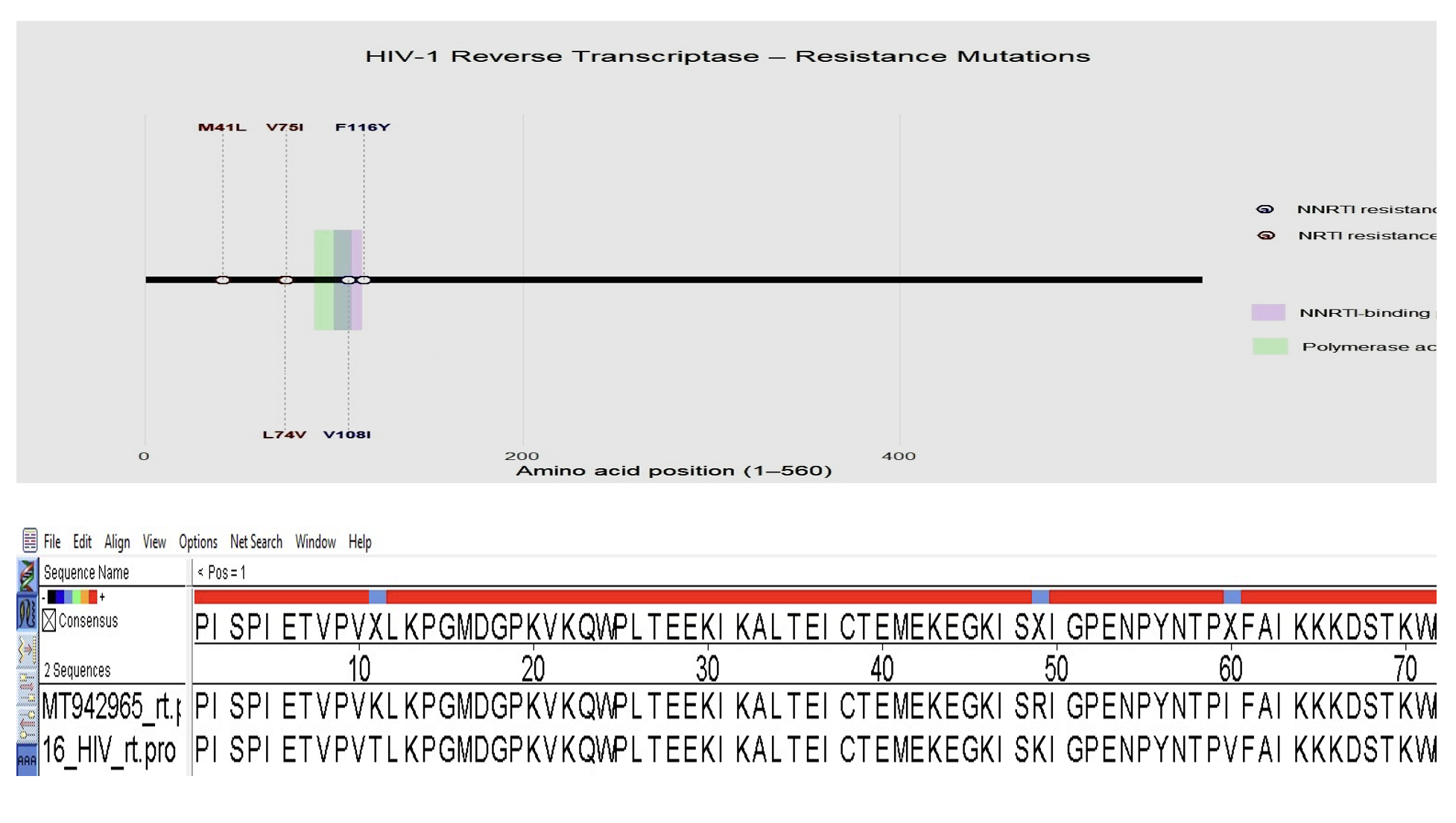Figure02 Novel methods to detect HIV-1 Drug Resistance Mutations