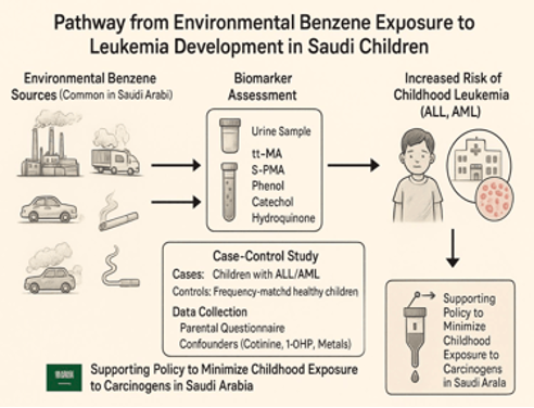 Figure01 - Benzene Exposure as a Risk Factor for Leukemia in Saudi Children