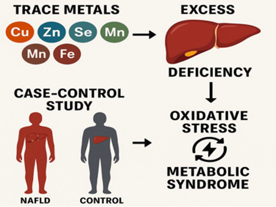 Figure01  The Role of Excess or Deficiency of Trace Metals in NonAlcoholic Fatty Liver Disease NAFLD