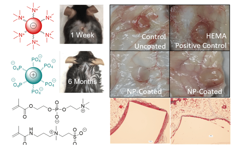 JY-Antibiofouling Nano-Coatings for Medical Implants