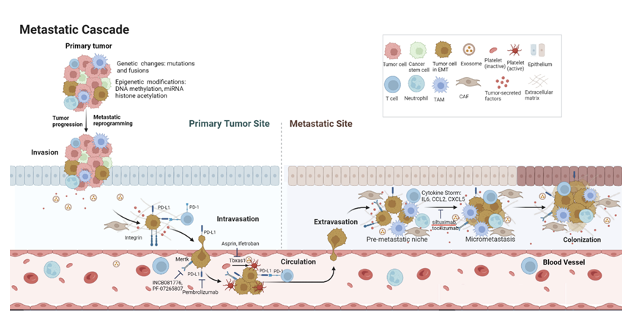 Figure01 Annotation of thyroid cancer metastasis genes